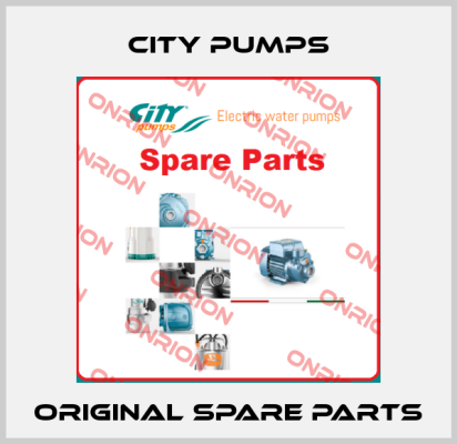 City Pumps