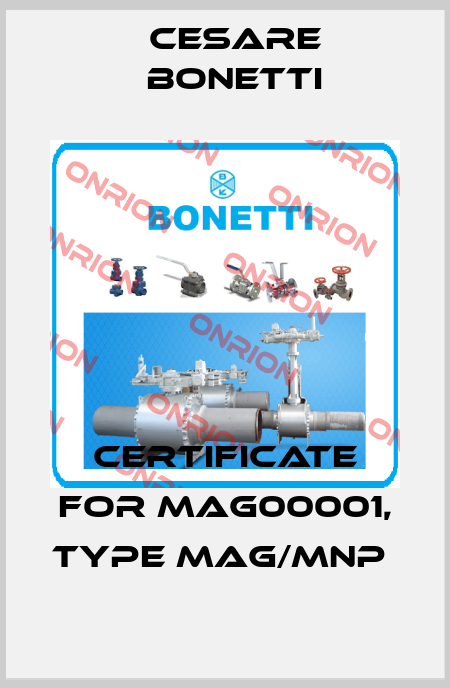 Certificate for MAG00001, type MAG/MNP  Cesare Bonetti