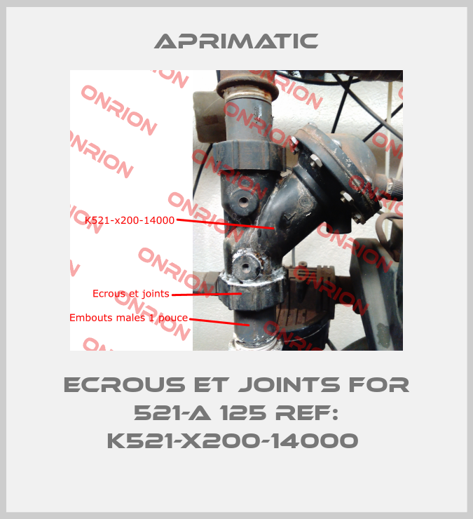Ecrous et joints for 521-A 125 REF: K521-X200-14000 -big