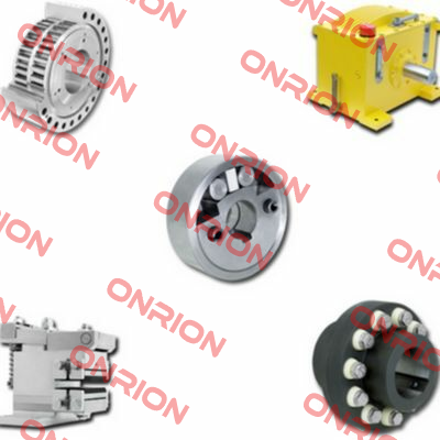 4205-045201-000000 Ringspann