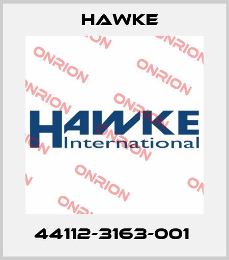 44112-3163-001  Hawke