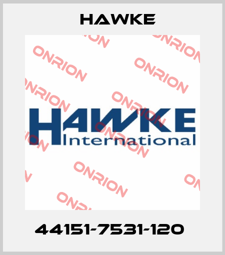 44151-7531-120  Hawke
