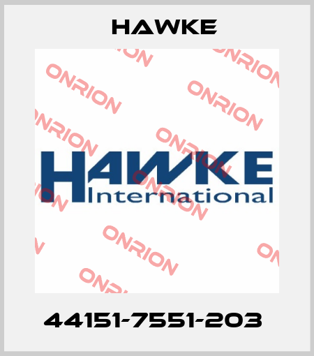 44151-7551-203  Hawke