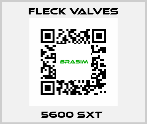 5600 sxt  Fleck Valves