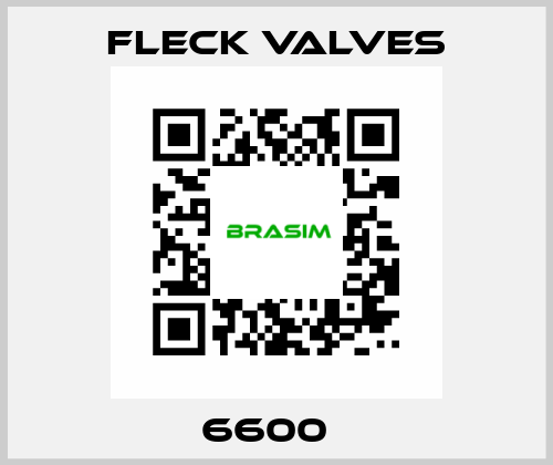 6600   Fleck Valves