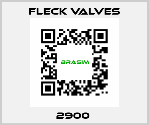 2900  Fleck Valves