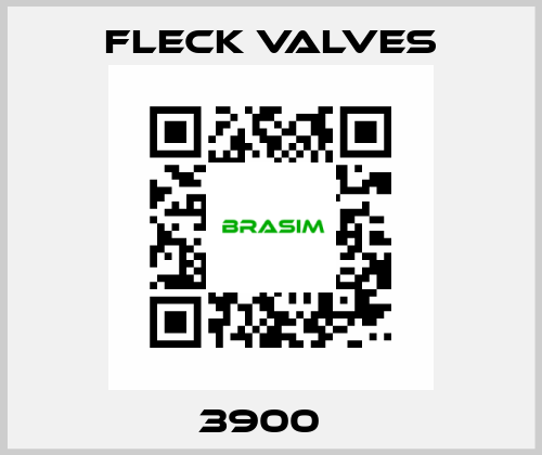  3900   Fleck Valves