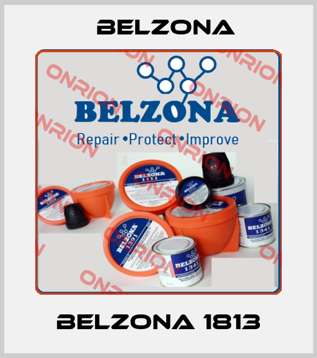 Belzona 1813 Belzona