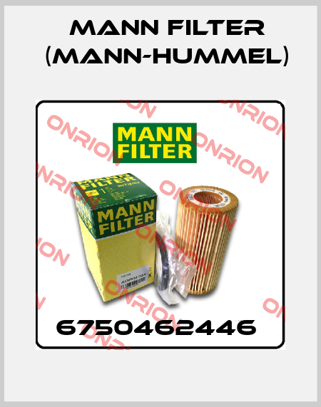 6750462446  Mann Filter (Mann-Hummel)