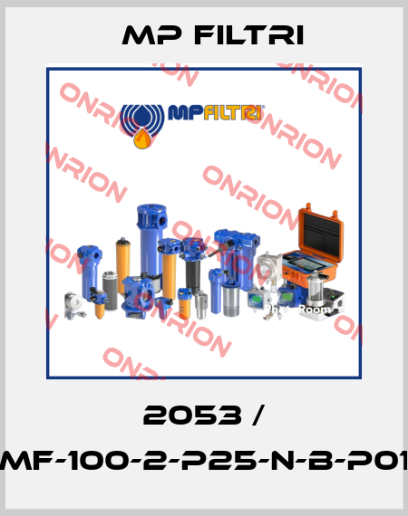 2053 / MF-100-2-P25-N-B-P01 MP Filtri