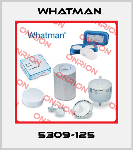 5309-125 Whatman