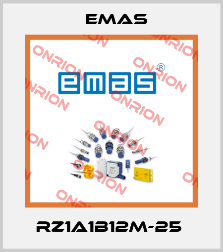 RZ1A1B12M-25  Emas