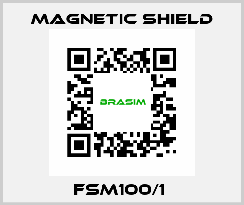 FSM100/1  Magnetic Shield