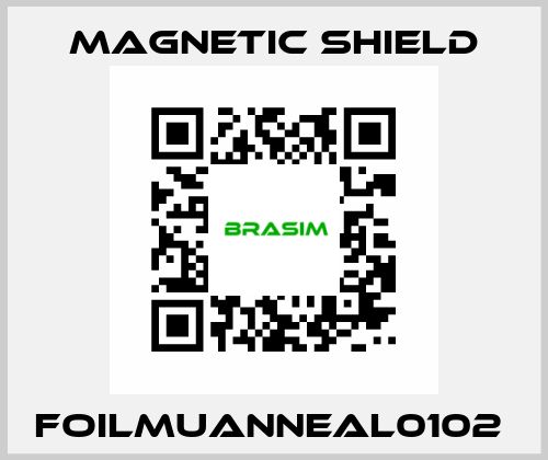 FOILMUANNEAL0102  Magnetic Shield