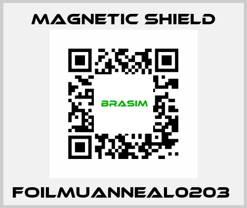 FOILMUANNEAL0203  Magnetic Shield