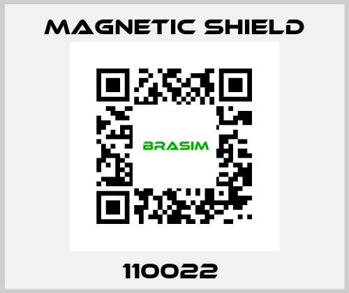 110022  Magnetic Shield