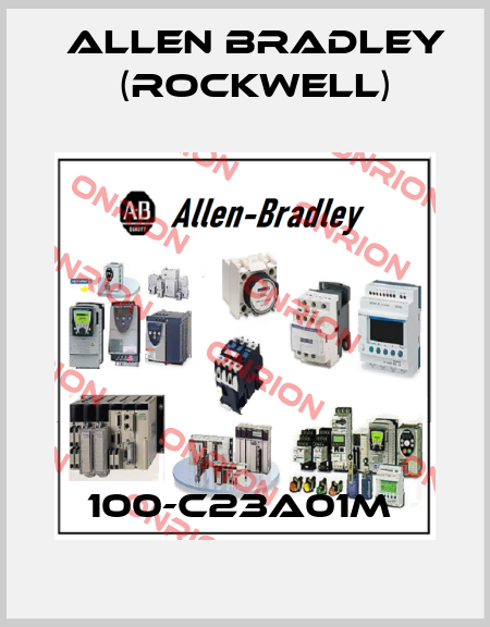 100-C23A01M  Allen Bradley (Rockwell)