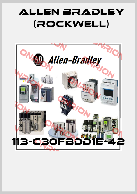 113-C30FBDD1E-42  Allen Bradley (Rockwell)