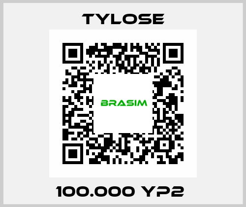 100.000 YP2  Tylose