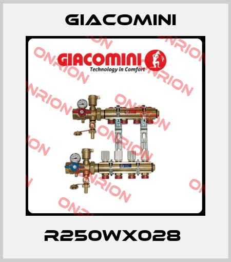 R250WX028  Giacomini