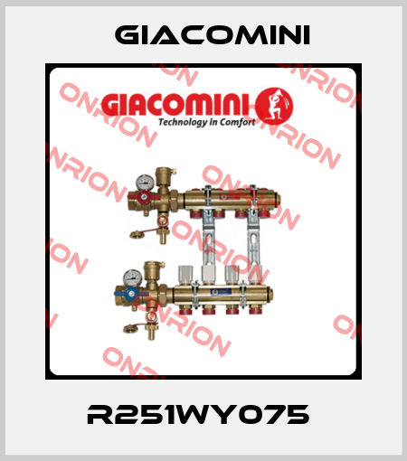 R251WY075  Giacomini