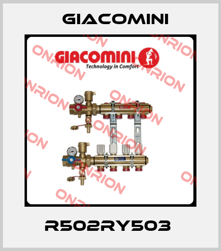 R502RY503  Giacomini