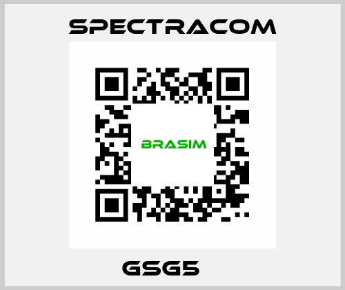 GSG5　  SPECTRACOM