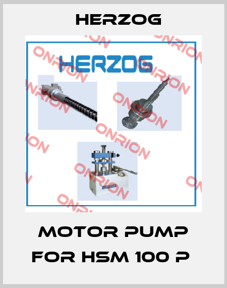 Motor Pump For HSM 100 P  Herzog