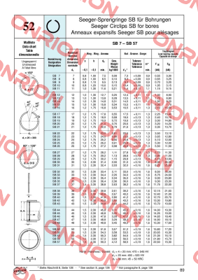 DSB-027 -big