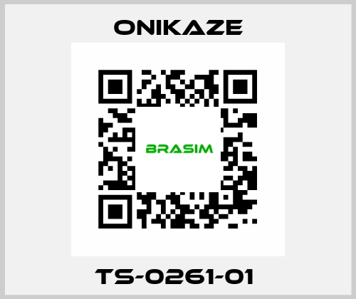 TS-0261-01  Onikaze