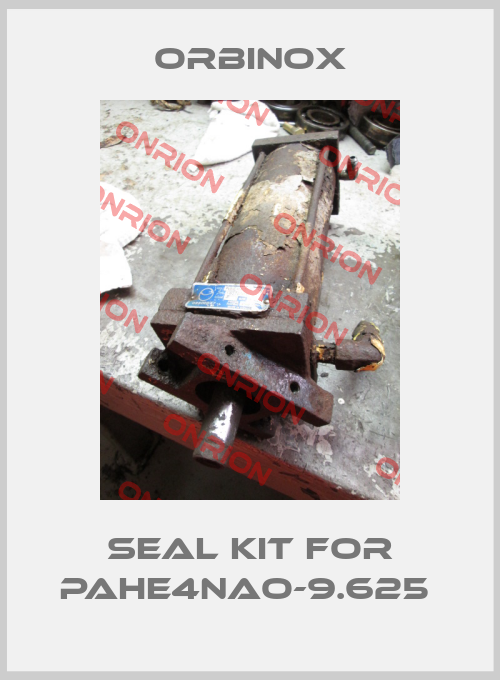 Seal kit for PAHE4NAO-9.625 -big