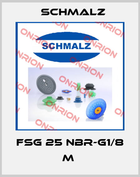 FSG 25 NBR-G1/8 M  Schmalz