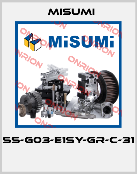 SS-G03-E1SY-GR-C-31  Misumi