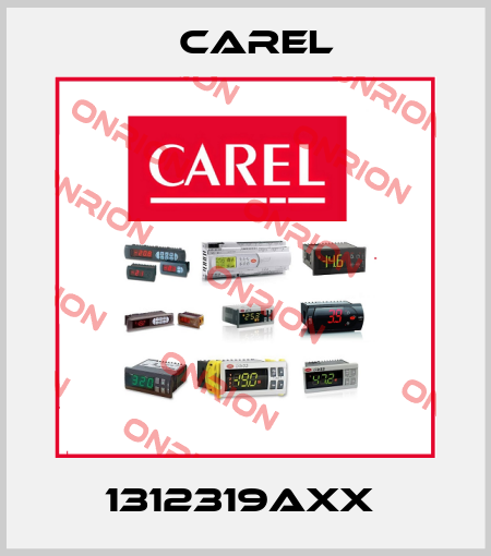 1312319AXX  Carel