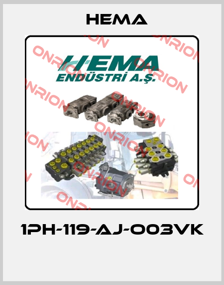 1PH-119-AJ-O03VK  Hema