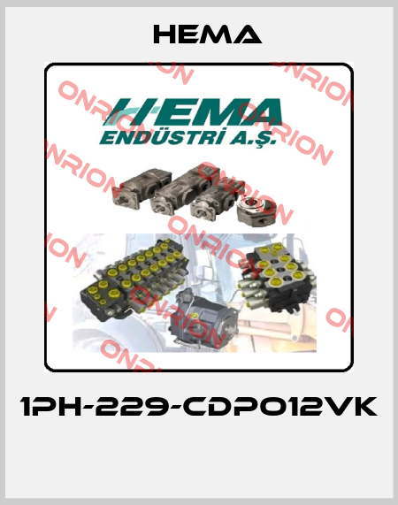 1PH-229-CDPO12VK  Hema