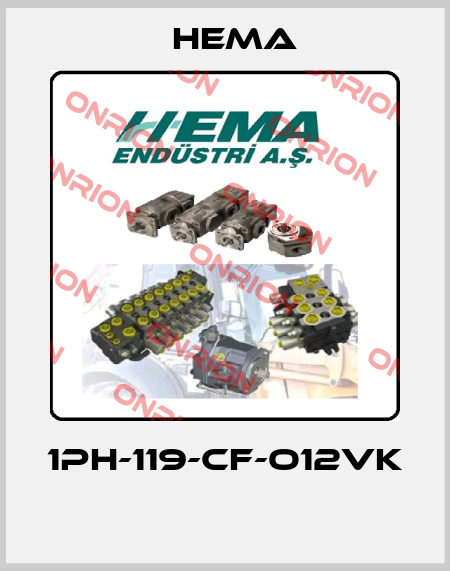 1PH-119-CF-O12VK  Hema