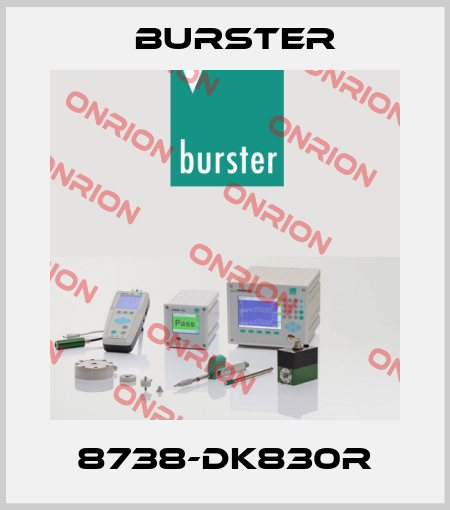 8738-DK830R Burster