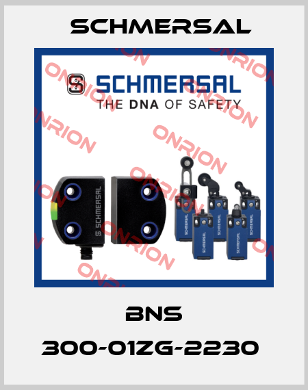 BNS 300-01ZG-2230  Schmersal