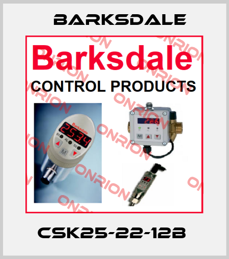 CSK25-22-12B  Barksdale