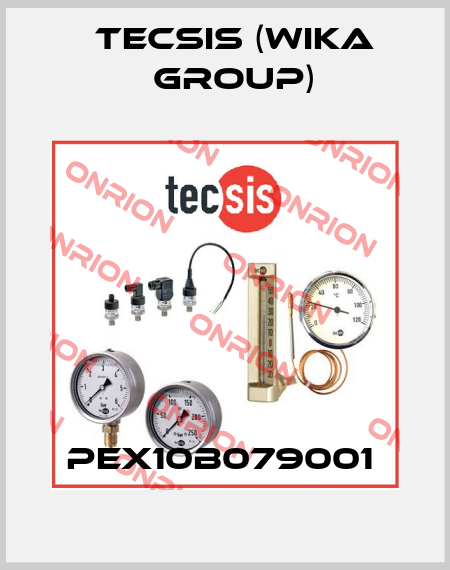 PEX10B079001  Tecsis (WIKA Group)