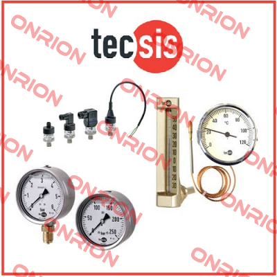 F23011550004  Tecsis (WIKA Group)