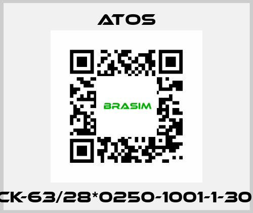 CK-63/28*0250-1001-1-30  Atos