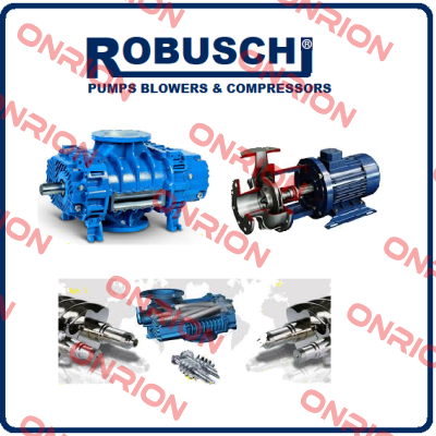 CRNS80-250 TMD O   M40 PUMP  Robuschi