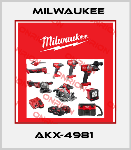 AKX-4981  Milwaukee