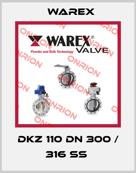 DKZ 110 DN 300 / 316 SS  Warex