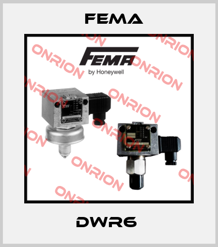 DWR6  FEMA