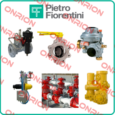 Omega VI Rotary Gas Meter  Pietro Fiorentini