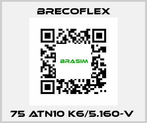 75 ATN10 K6/5.160-V  Brecoflex