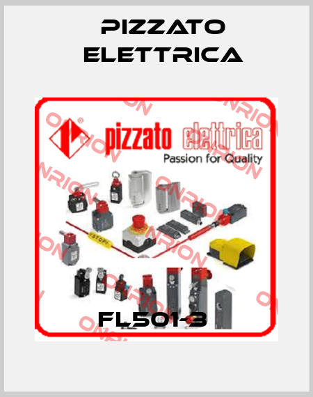 FL501-3  Pizzato Elettrica